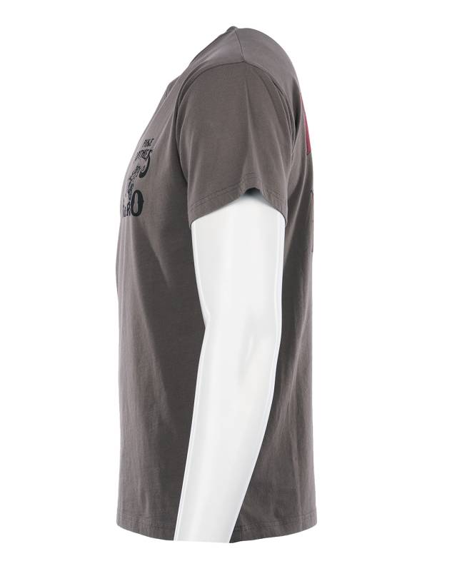 Pike Brothers 1969 Sports Tee Enduro grey Top Angebot