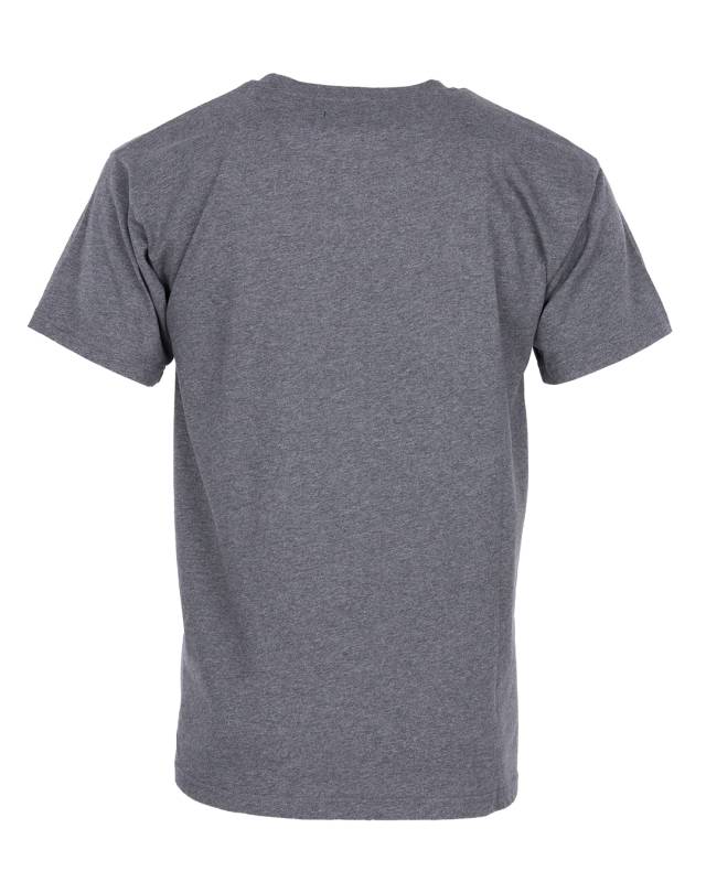 Pike Brothers 1969 Sports Tee grey Räumungsverkauf